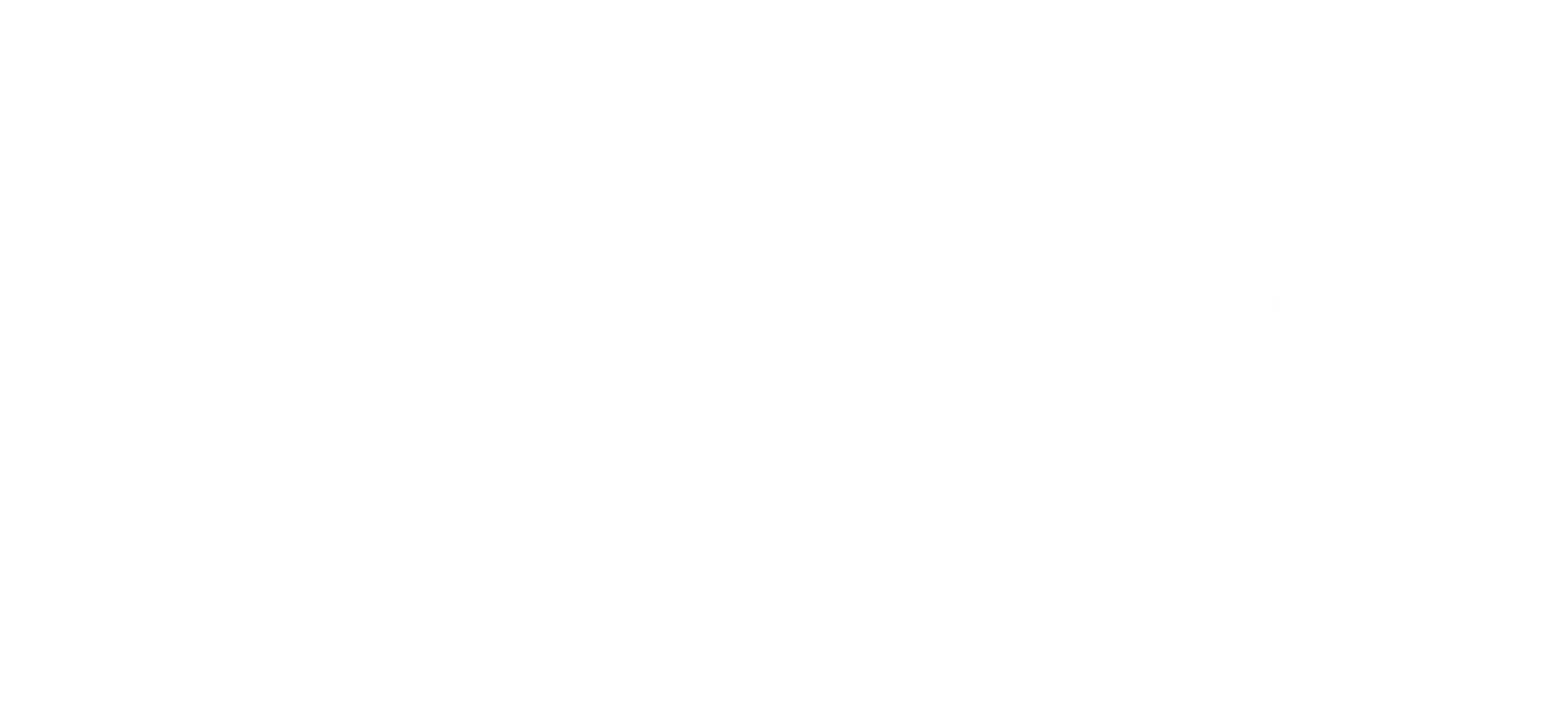 vividcolourspaint.com